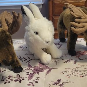 Signature webkinz...arctic(60) . and moose...25 each..pup is